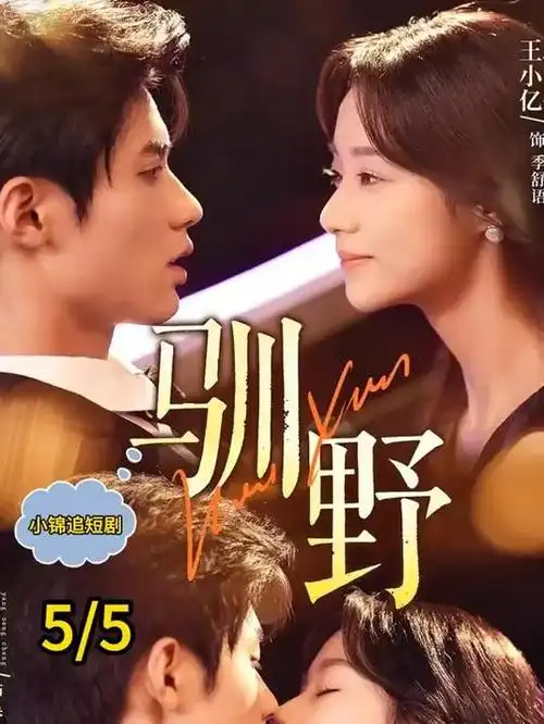 片种图鉴 tv 剧集抽屉示意图